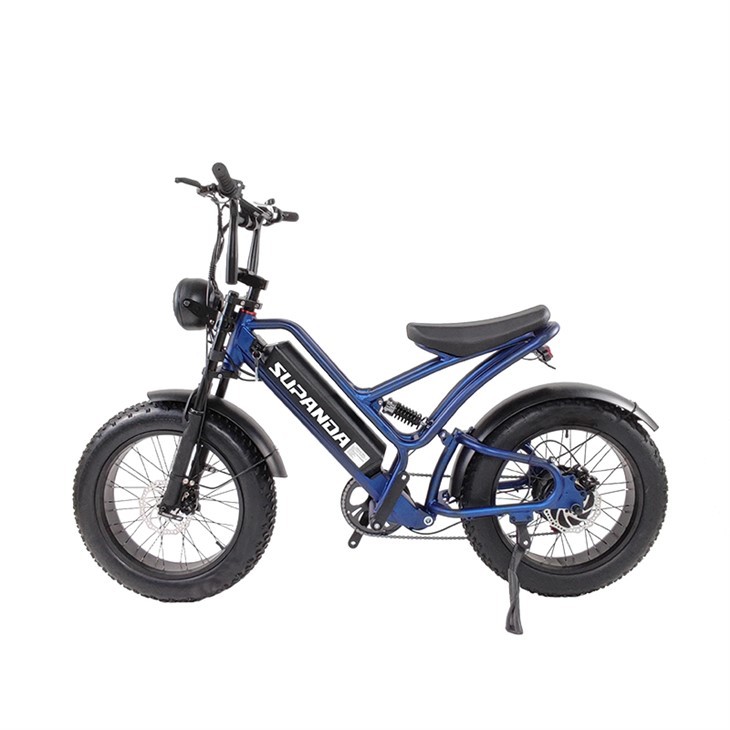 چربی   تایر   کوه   Ebike