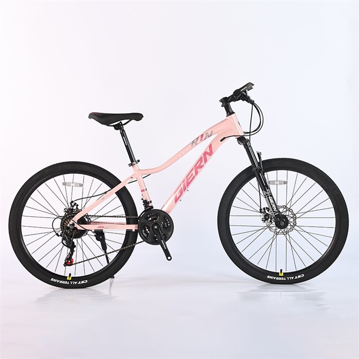 Pink Mountain Bike 26 Inch